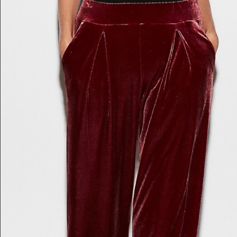 Velvet pants